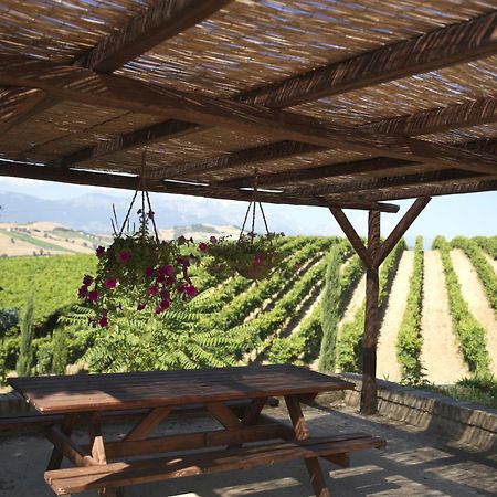 Contado San Lorenzo B&B And Wine Castilenti Eksteriør bilde
