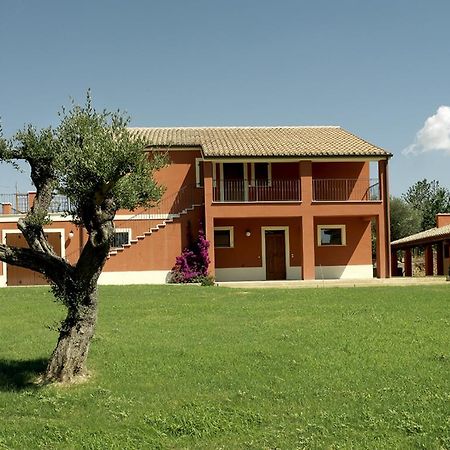 Contado San Lorenzo B&B And Wine Castilenti Eksteriør bilde