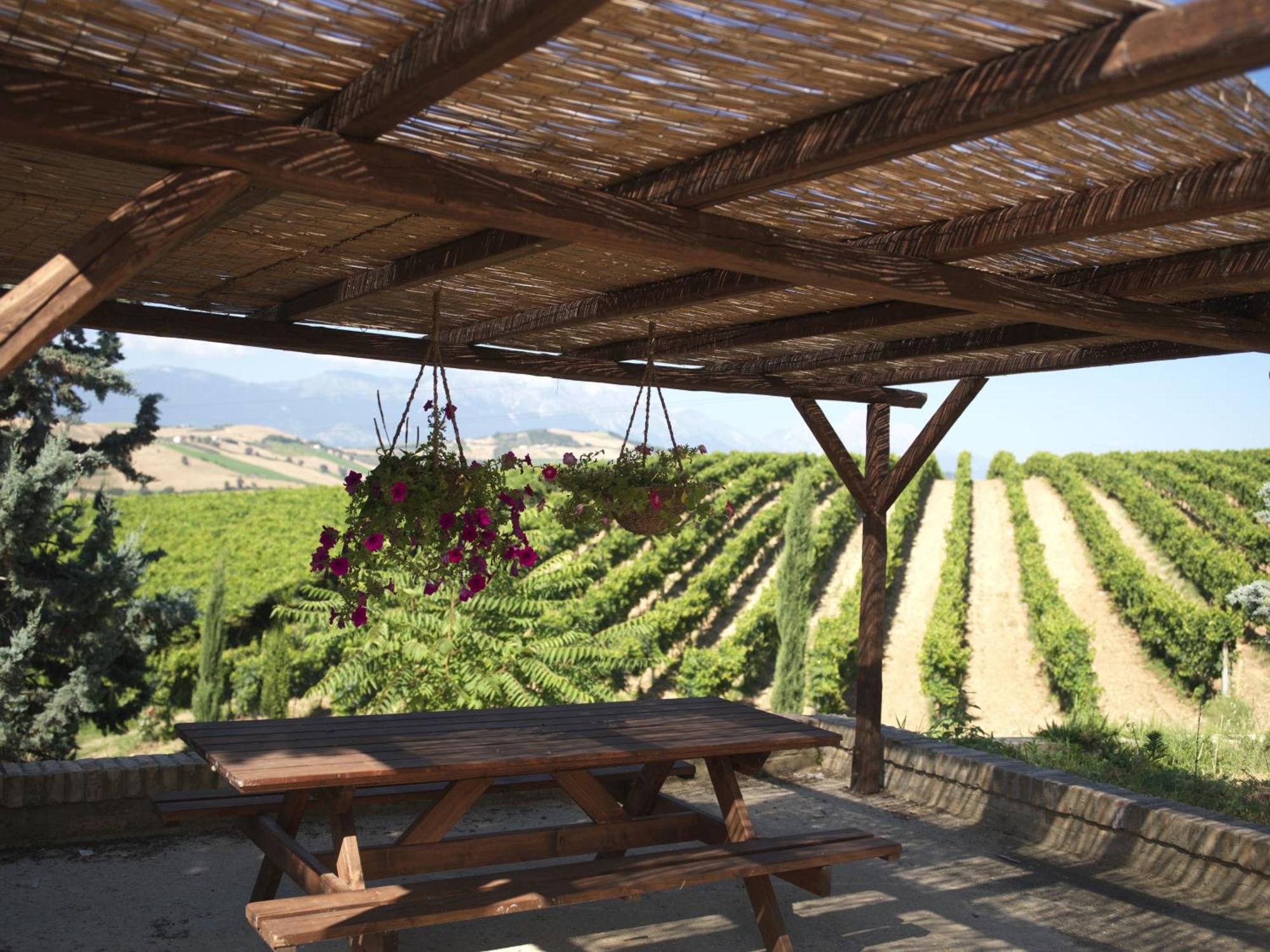 Contado San Lorenzo B&B And Wine Castilenti Eksteriør bilde