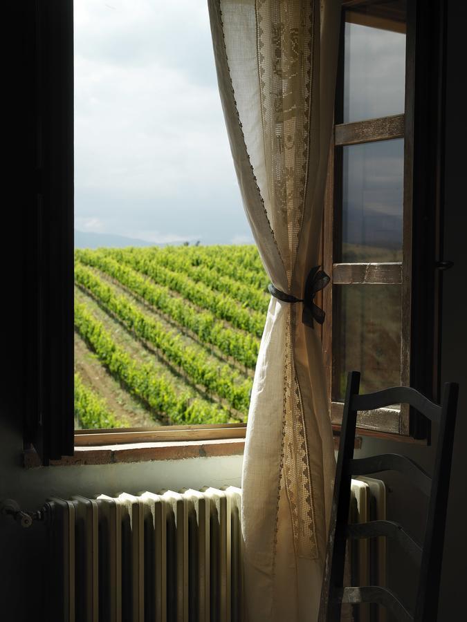Contado San Lorenzo B&B And Wine Castilenti Eksteriør bilde